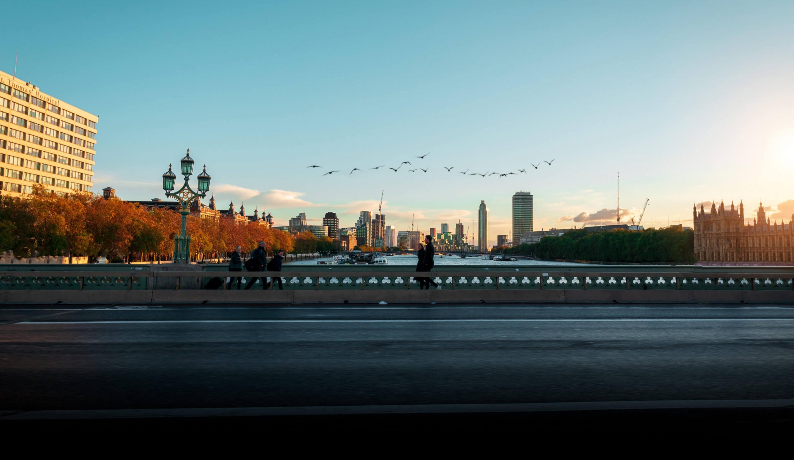 Image of a flock of birds flying over the river Thames in London